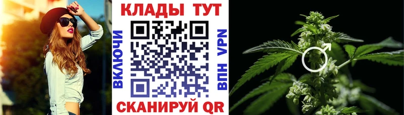 Сколько стоит Кашира Бошки Шишки Alpha PVP Амфетамин ГАШИШ
