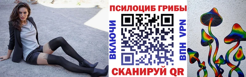 блэк спрут ТОР  купить  сайты  Кашира  Псилоцибиновые грибы мухоморы 